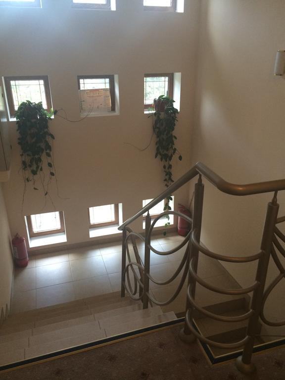 Hotel Fiama Otelu Rosu Экстерьер фото